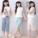 [Beautiful pearl ice silk spring and summer 7 points fashion wide leg pants] breathable cool super temper recommended section, within the pants / 7 pants / spring and summer pants / wide leg pants / collapse pants / ice pants ★ 100-145