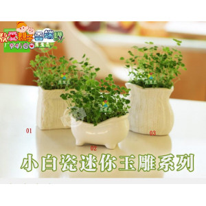 DIY desktop mini potted turf grass, long grass dolls [green energy can love the earth, 