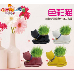 DIY desktop mini potted turf grass, long grass dolls [green energy can love the earth, 